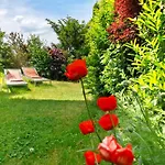 Im Rosengarten *