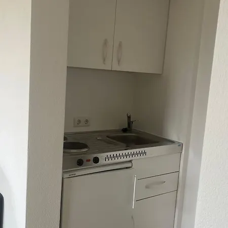 Im Rosengarten Apartment Bodman-Ludwigshafen