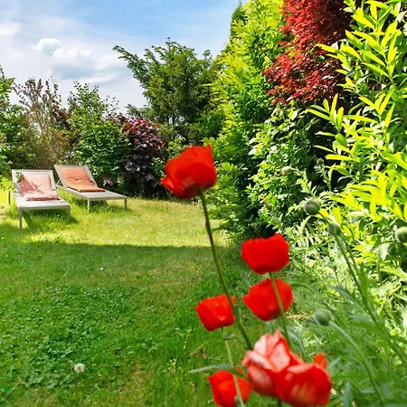 Im Rosengarten *